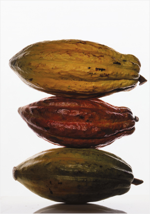 cabosses de cacao, Jean-Louis Bloch-Laine